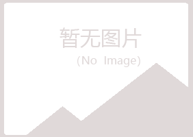 白银平川雪青化学有限公司